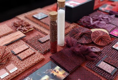 Color Trends 2024-2025